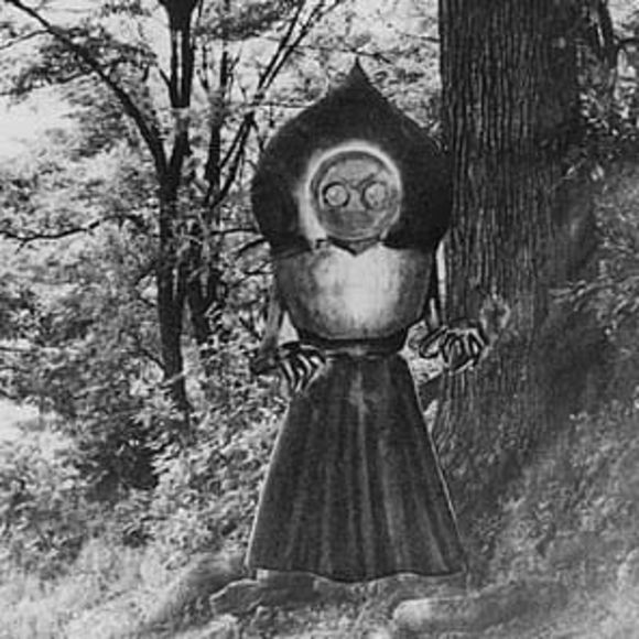 Meet your Posher, Jesse - Picture 1 of 1